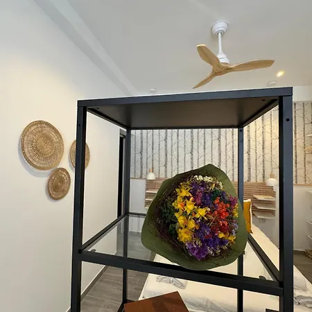 Apartment Loft In Valencia, Equipped And Very Well Decorated Valencia