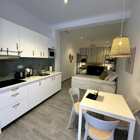 Apartment Loft In Valencia, Equipped And Very Well Decorated